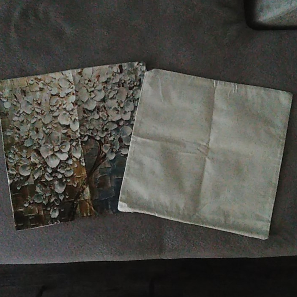 ☑️2 for💲15  18x18 Pillow Covers